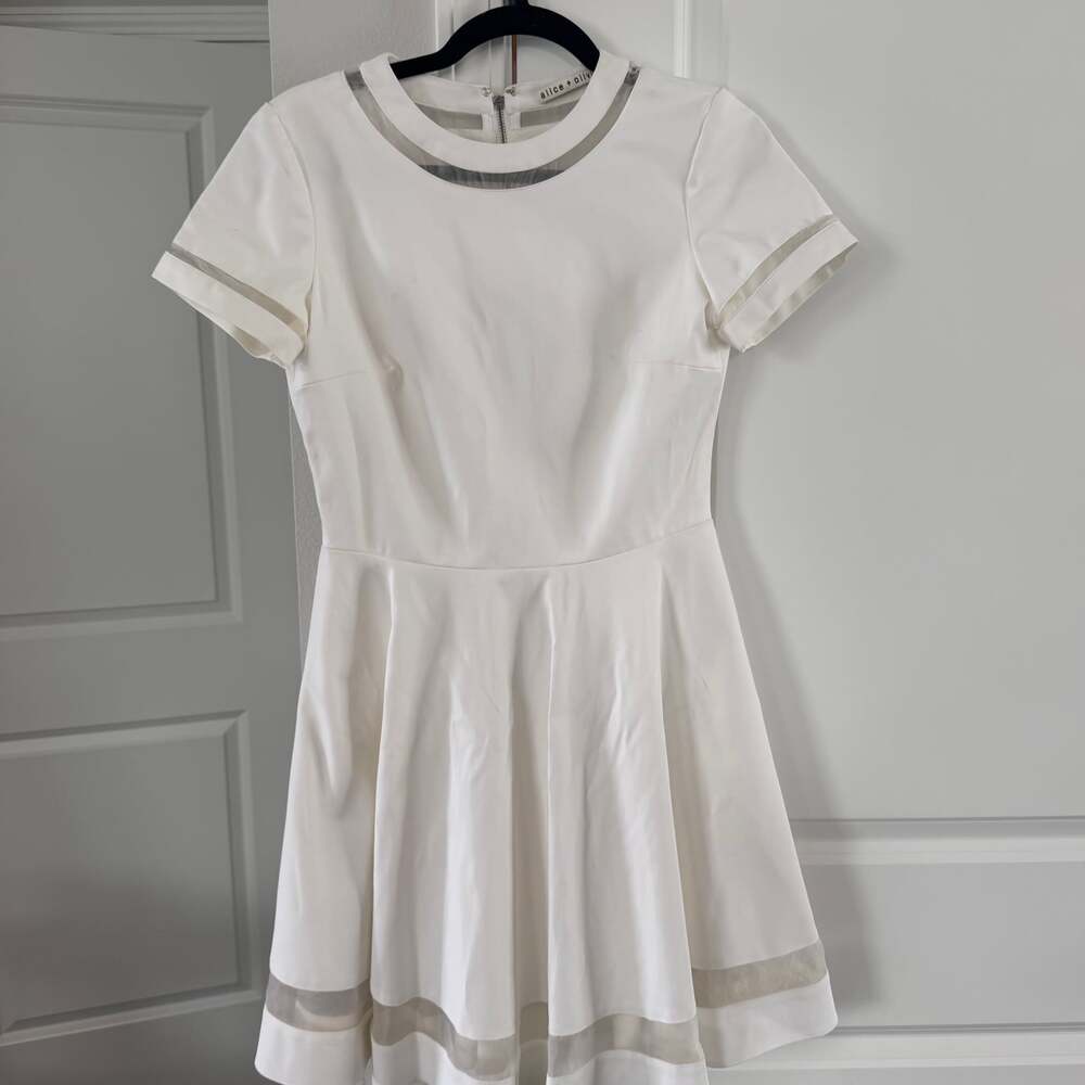 Alice + Olivia White Fit-and-Flare Mini Dress Mesh Short Sleeve Collared Hem